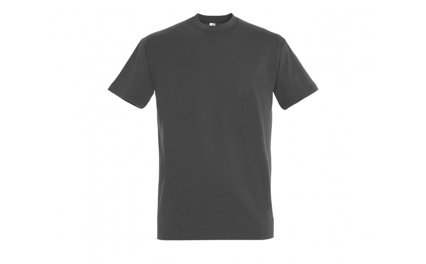 Tee-shirt uni FRISCO Gris foncé | Bartavel-Shop