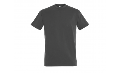 Tee-shirt uni FRISCO Gris foncé | Bartavel-Shop