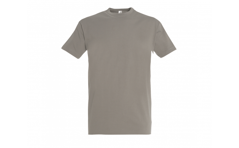 Tee-shirt uni FRISCO Gris clair | Bartavel-Shop